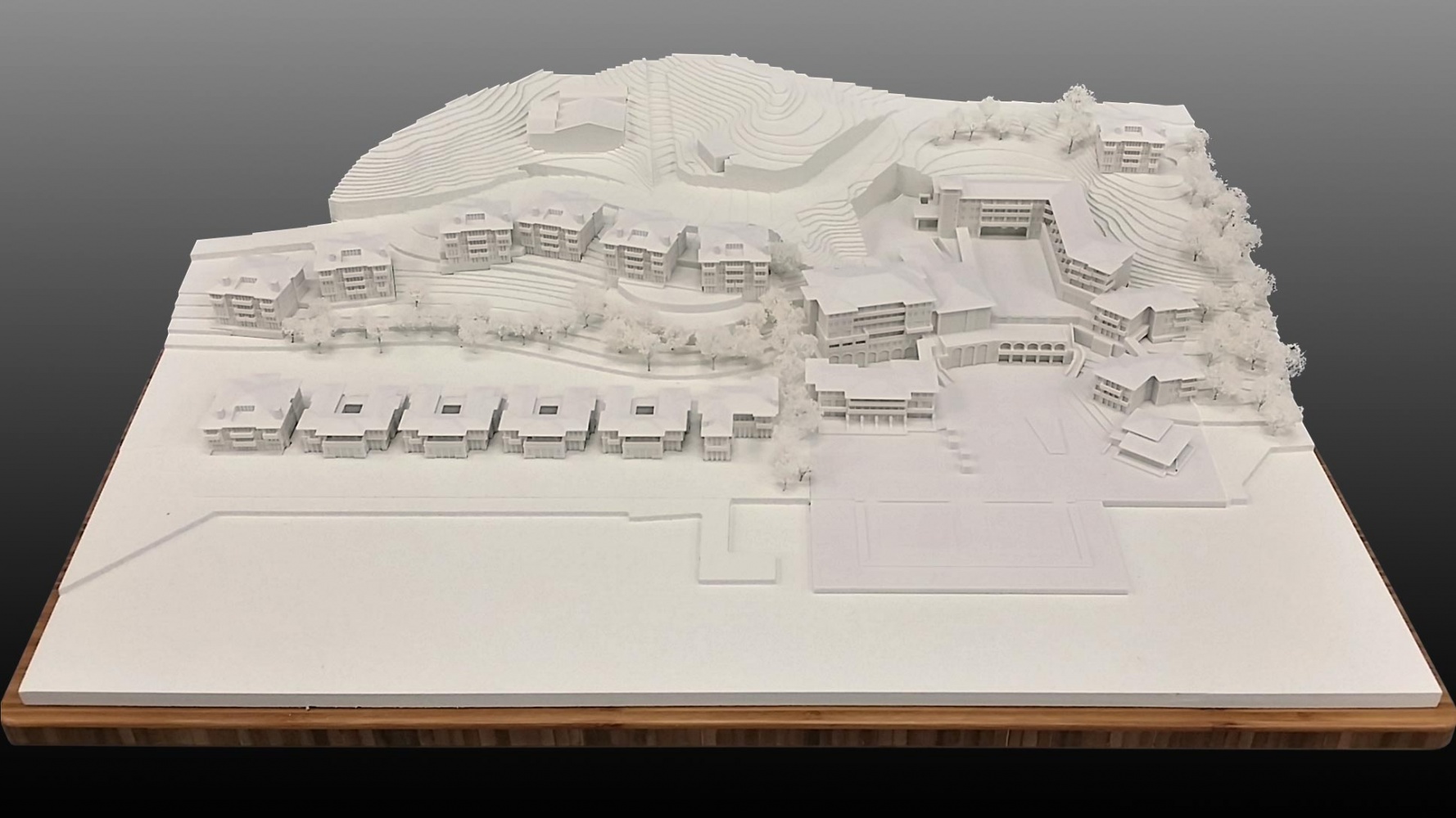 SketchUp Architectural 3D Print