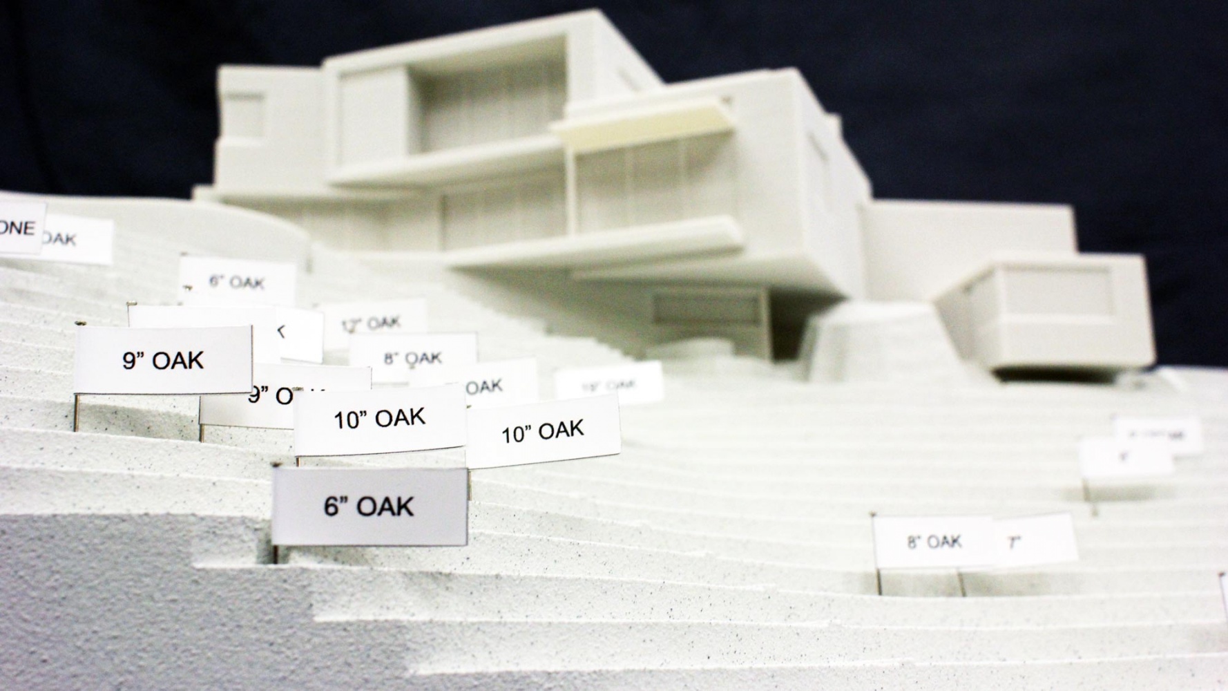 Architectural model with planting plan