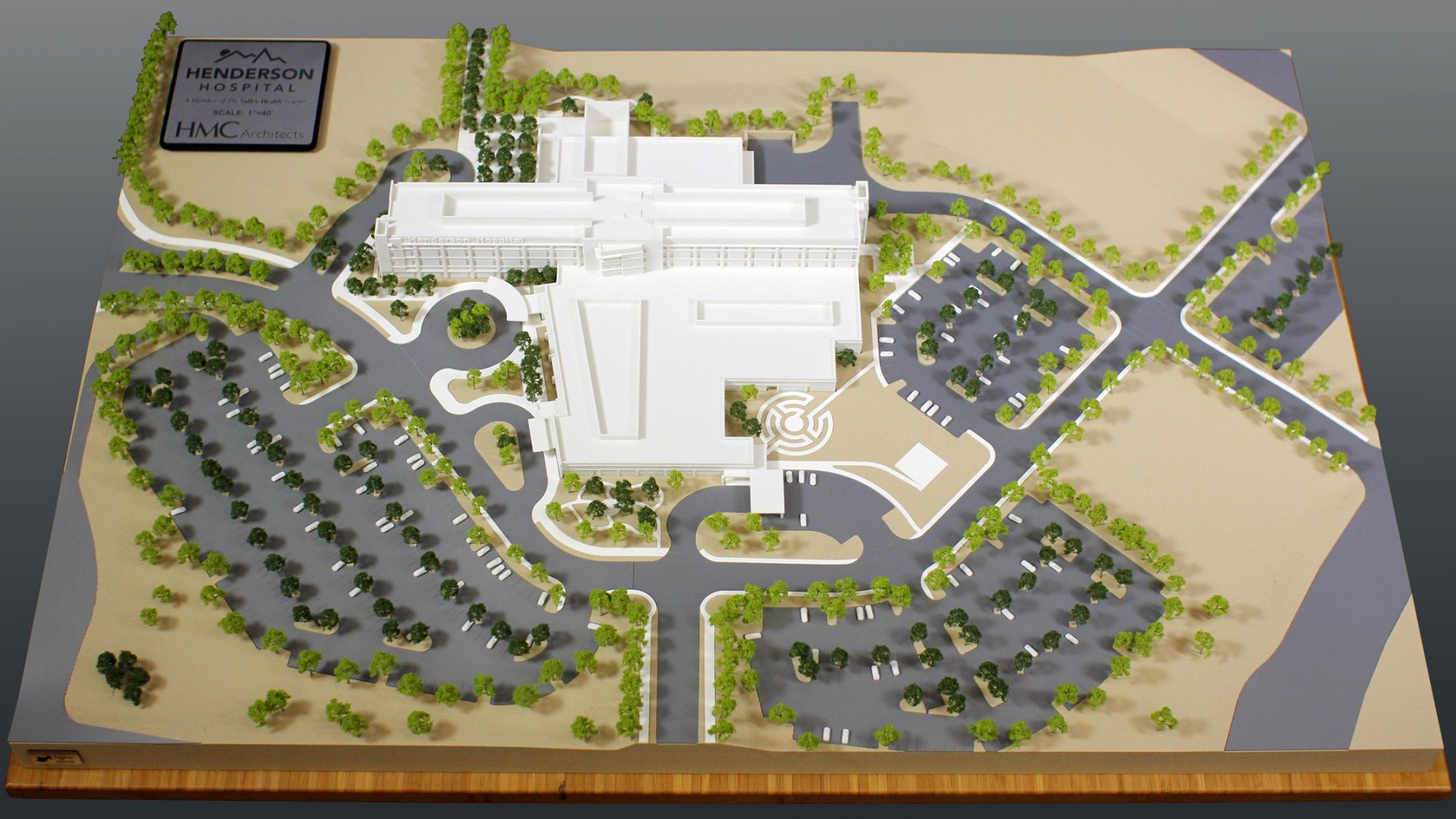 Henderson Hospital architectural model