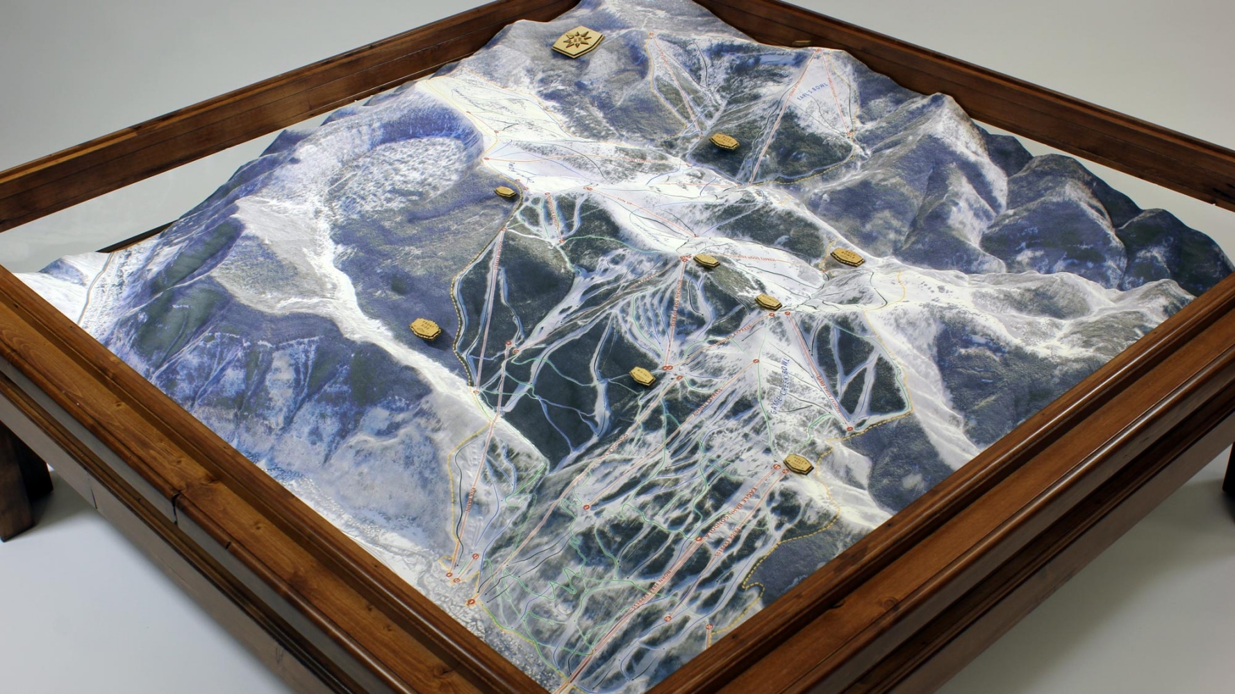 3d ski map of vail